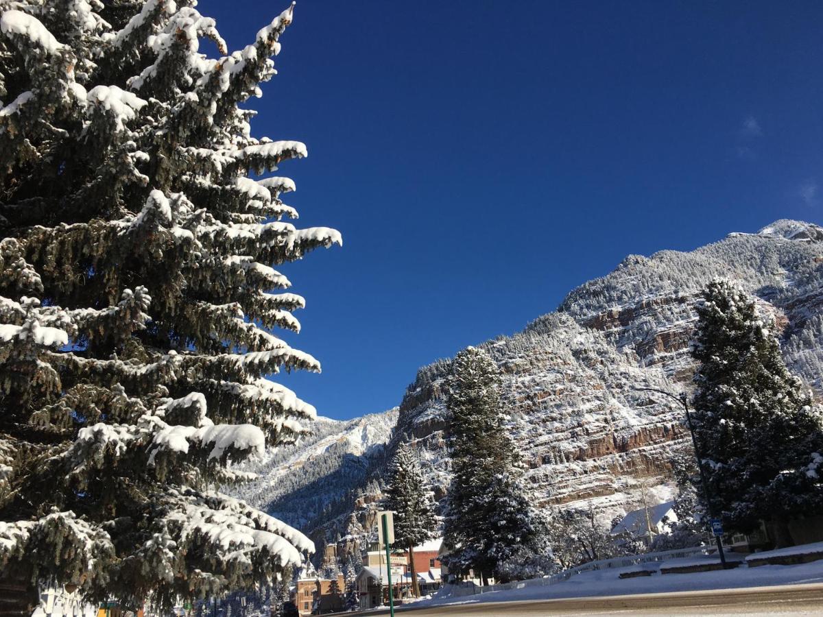 The Ouray Main Street Inn Bagian luar foto